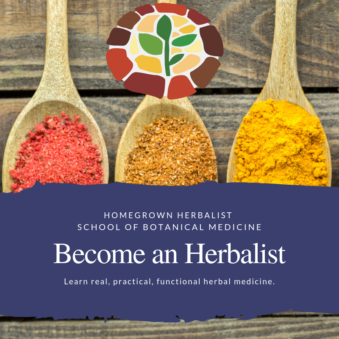 become an herbalist