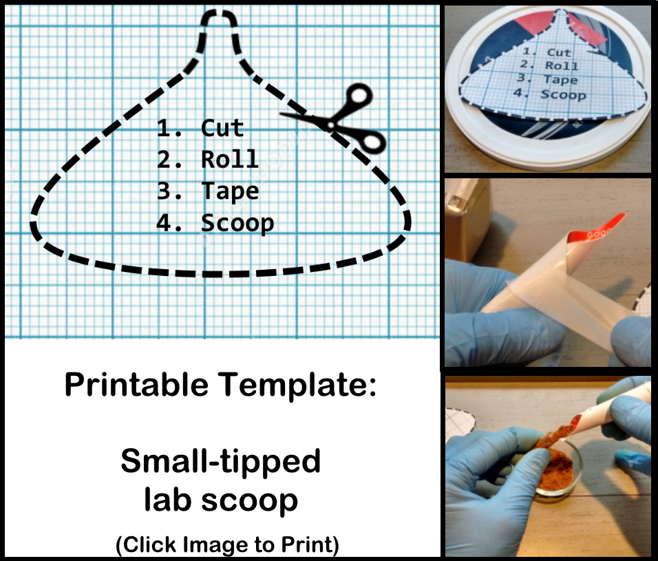 printable lab scoop template